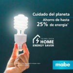 RMA300FZCRU-Home-energy-saver