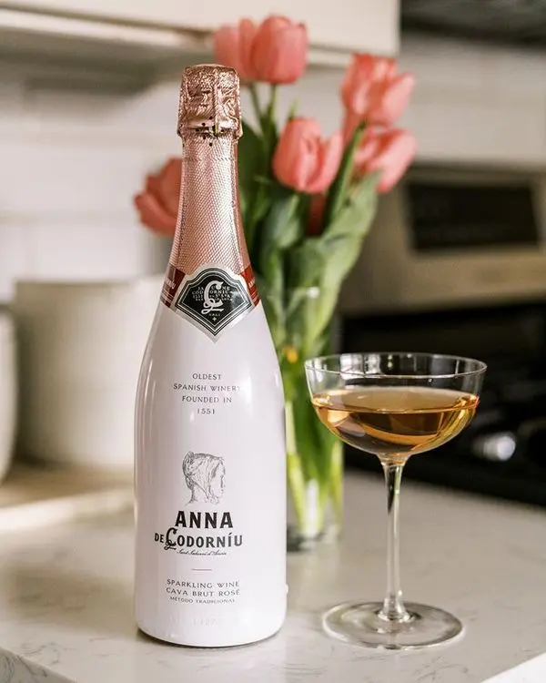 Anna de Codorníu Rosé Sleever 750ml - Image 4