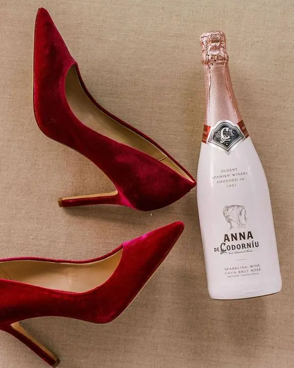 Anna de Codorníu Rosé Sleever 750ml - Image 5