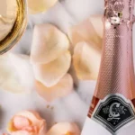 medium_passion_spirits_codorniu_winery_anna_cava_brut_rose_6_bb3abcd36d