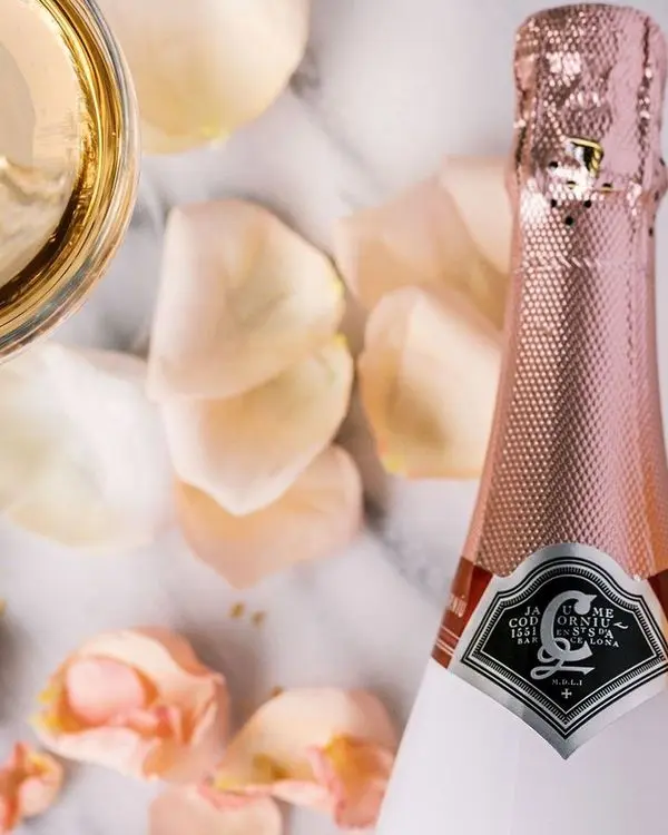 Anna de Codorníu Rosé Sleever 750ml - Image 6