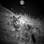 BU_EquinoxZ2_App