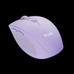 TR00085_2