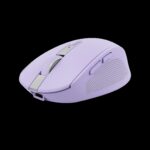 TR00085_3