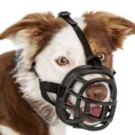 Baskerville_Ultra_Product-on-dog-white-background-_Header-Gallery_694x572