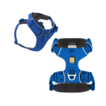 pechera-para-perros-blue-pool-scaled