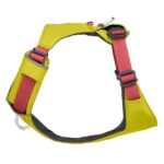 Hi-Harness-10
